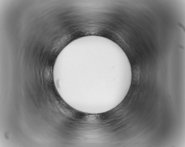 X0000102410126200808291516