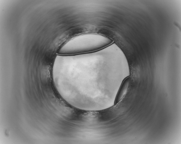 X0000102410128200808291516