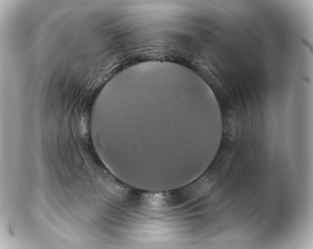 X0000102410131200808291516