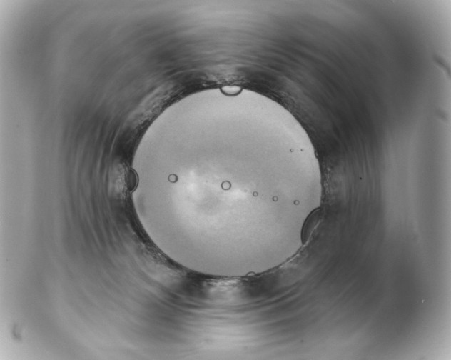 X0000102410132200808291516