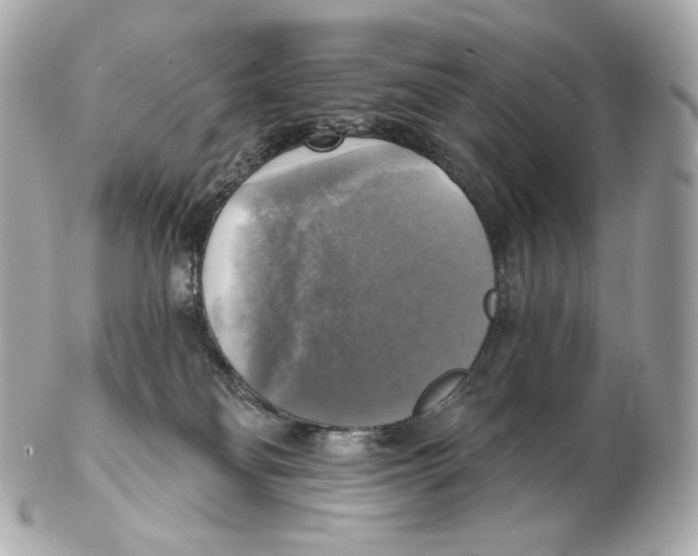 X0000102410134200808291516