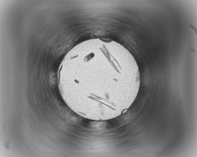 X0000102410135200808291516