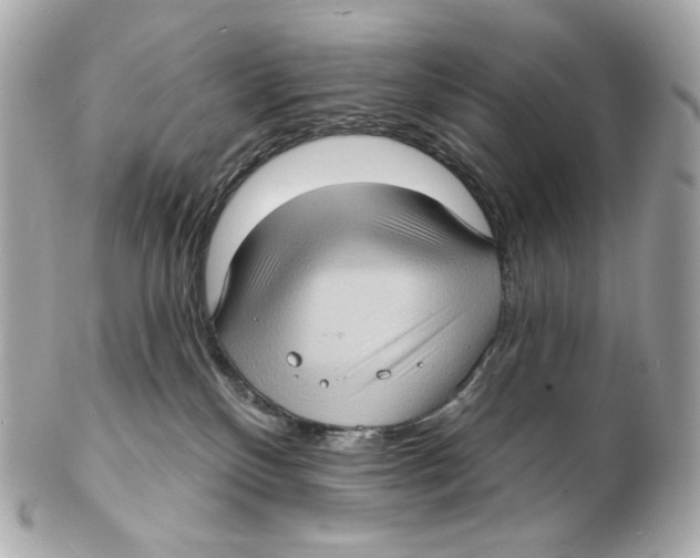 X0000102410136200808291516