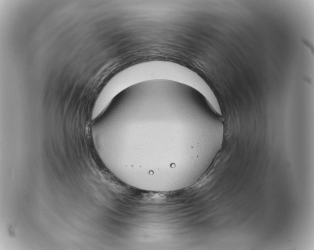 X0000102410140200808291516