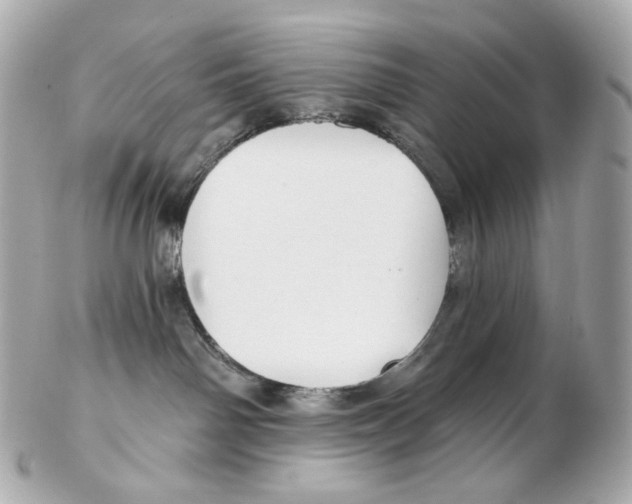 X0000102410142200808291516