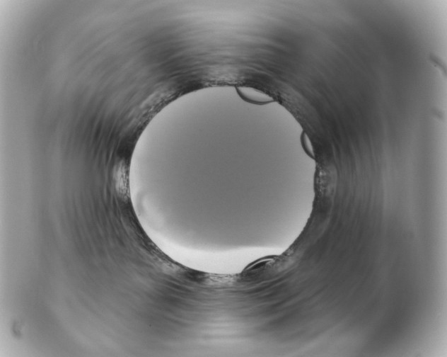 X0000102410143200808291516