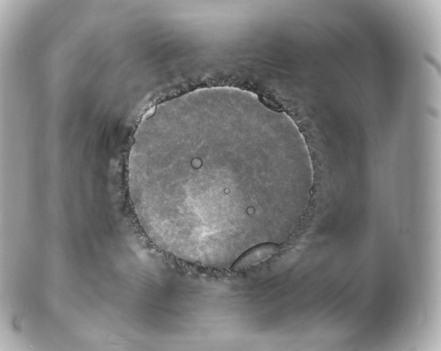 X0000102410144200808291516