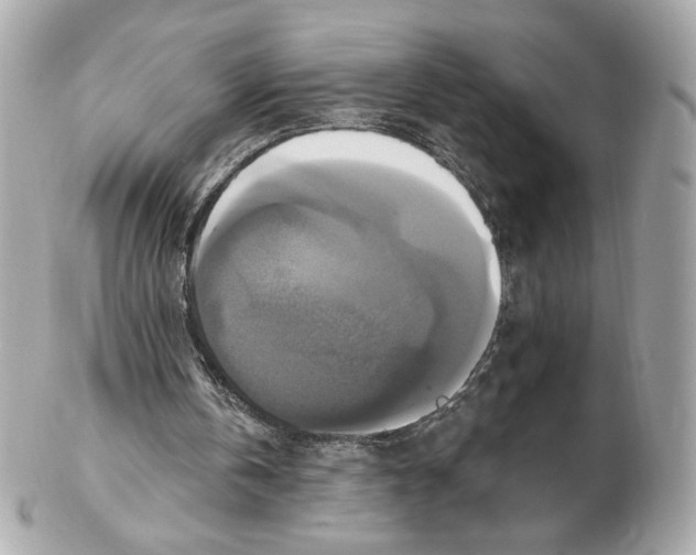 X0000102410146200808291515