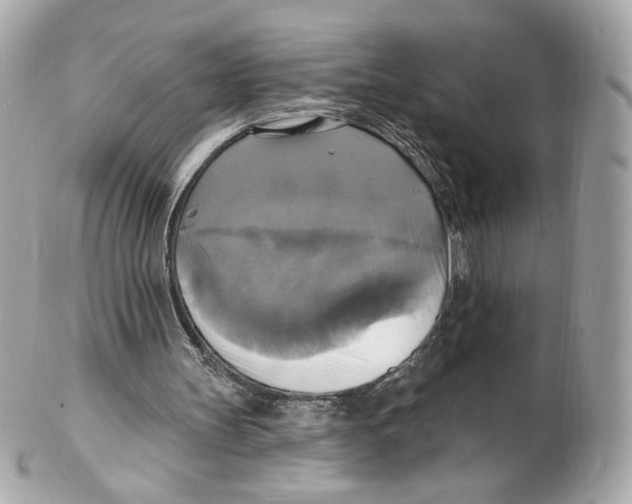 X0000102410147200808291515