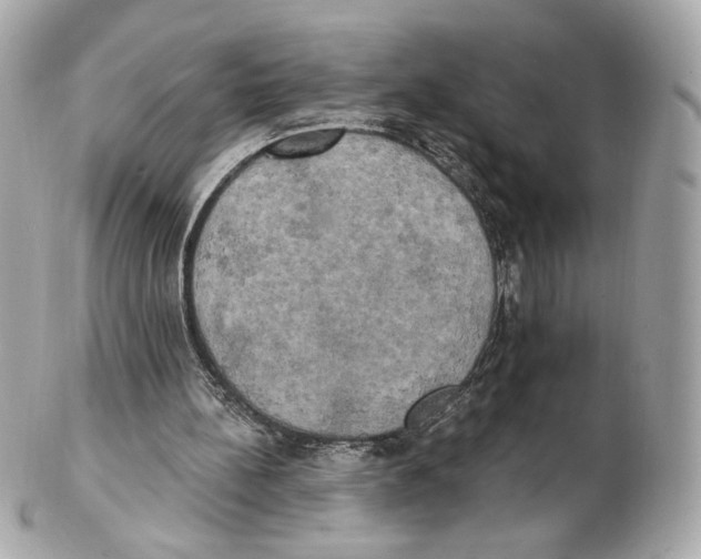 X0000102410148200808291515