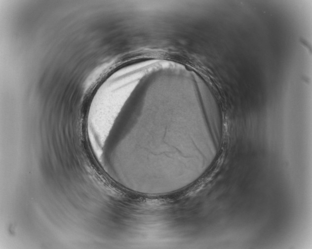 X0000102410149200808291515