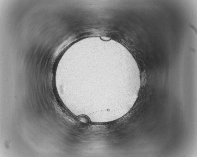 X0000102410150200808291515