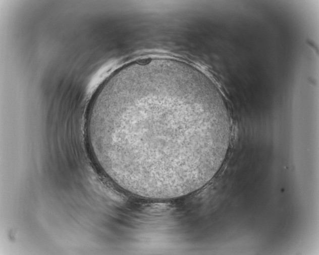 X0000102410151200808291515