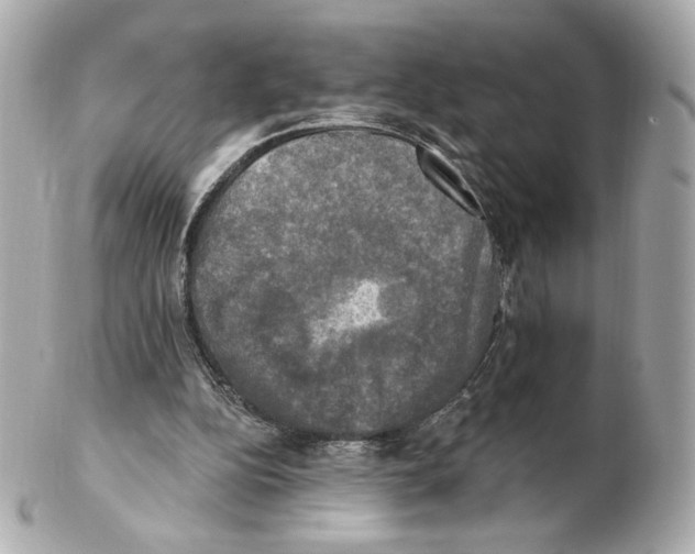 X0000102410152200808291515