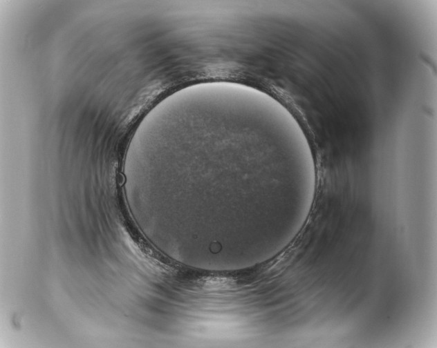 X0000102410154200808291515