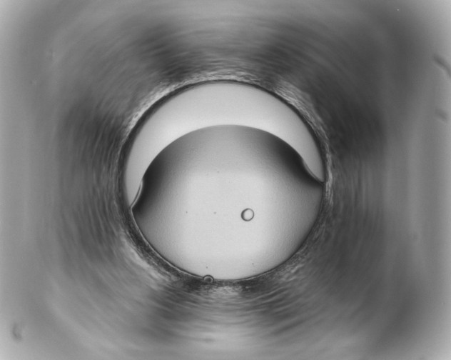 X0000102410156200808291515