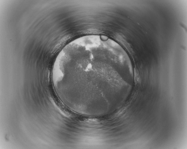 X0000102410157200808291515