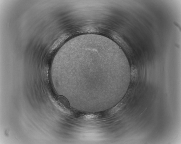 X0000102410158200808291515