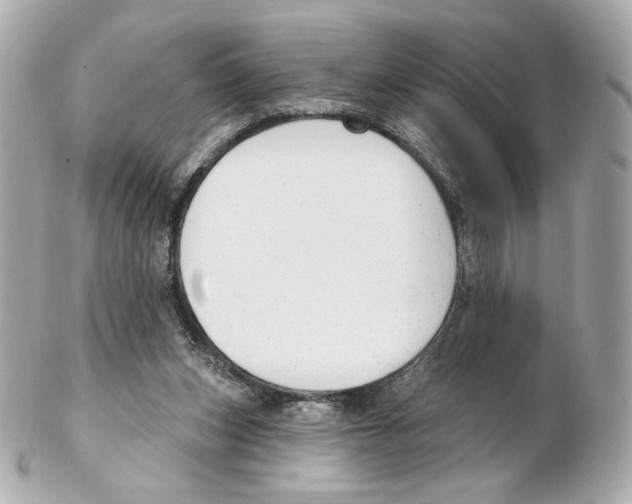 X0000102410159200808291515