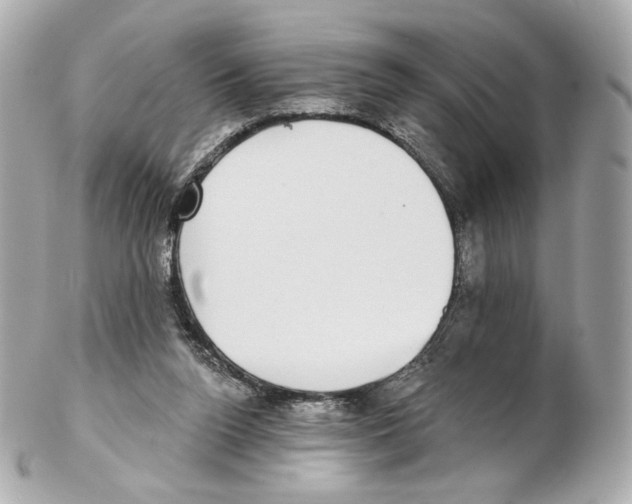 X0000102410160200808291515