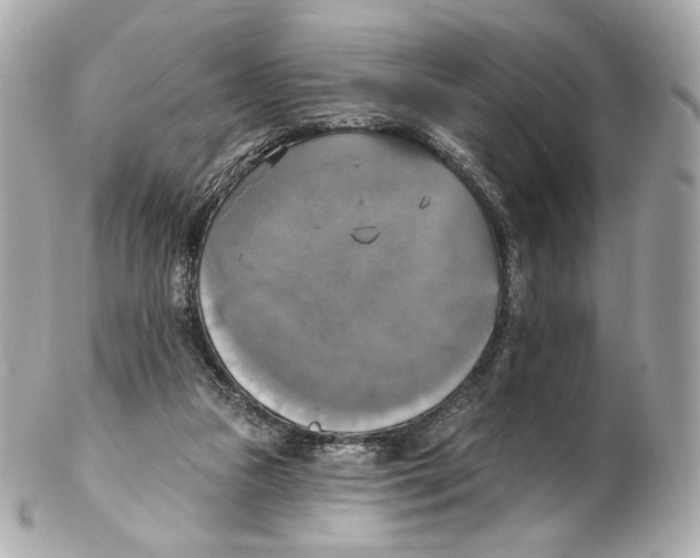 X0000102410161200808291515