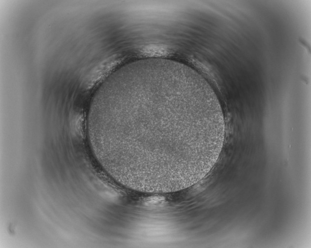 X0000102410162200808291515