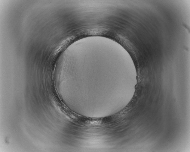 X0000102410163200808291515