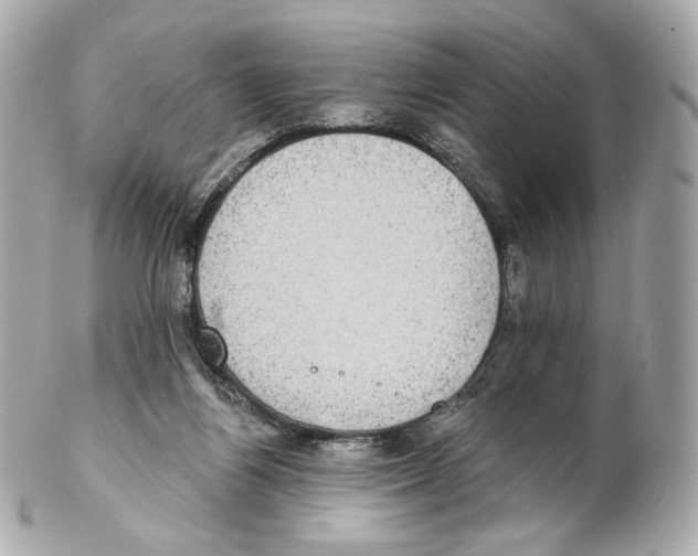 X0000102410164200808291515