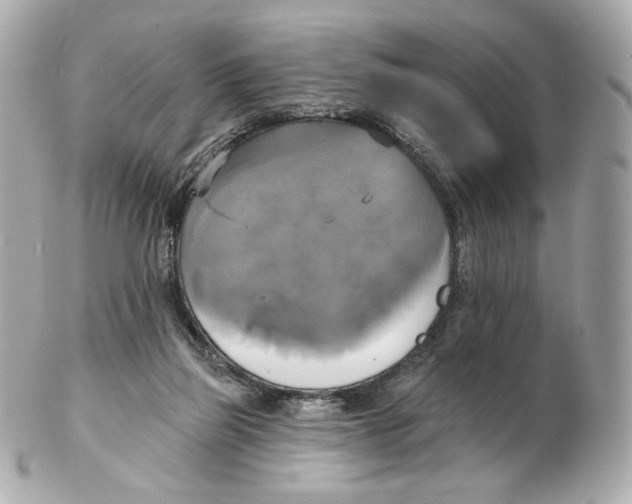 X0000102410165200808291516