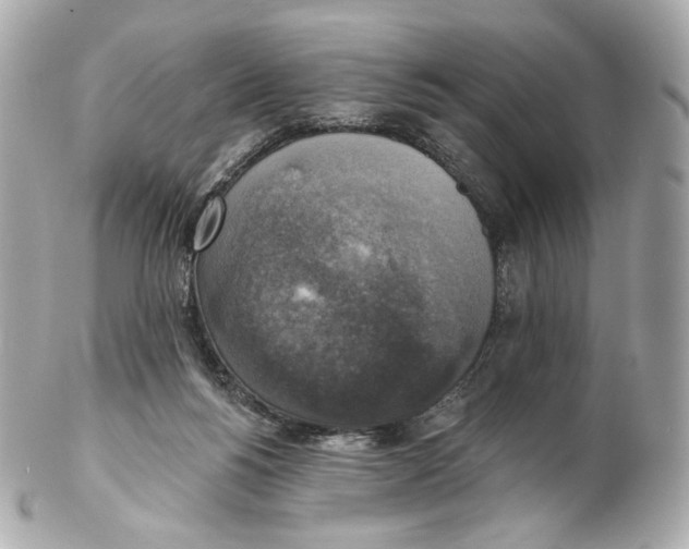 X0000102410168200808291516