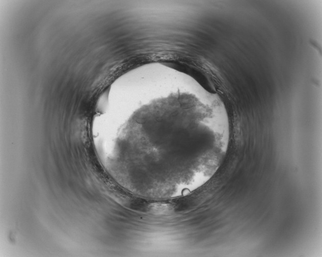 X0000102410169200808291516