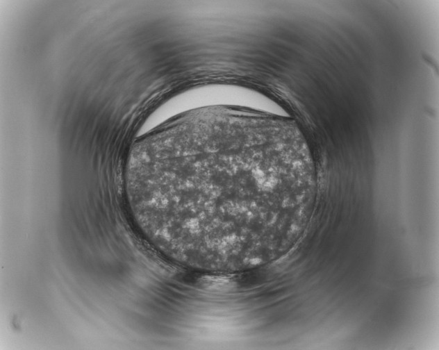 X0000102410170200808291516