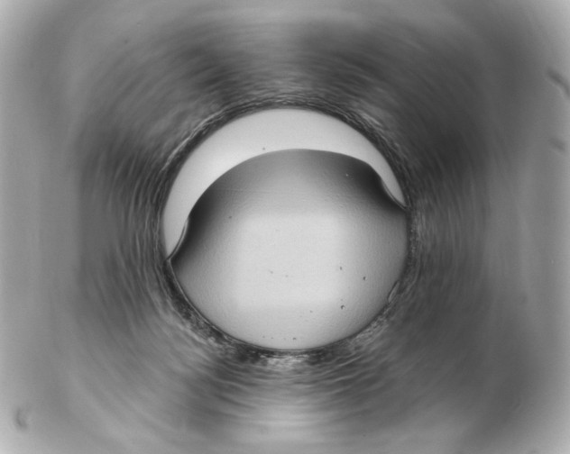 X0000102410172200808291516