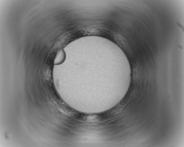 X0000102410173200808291516