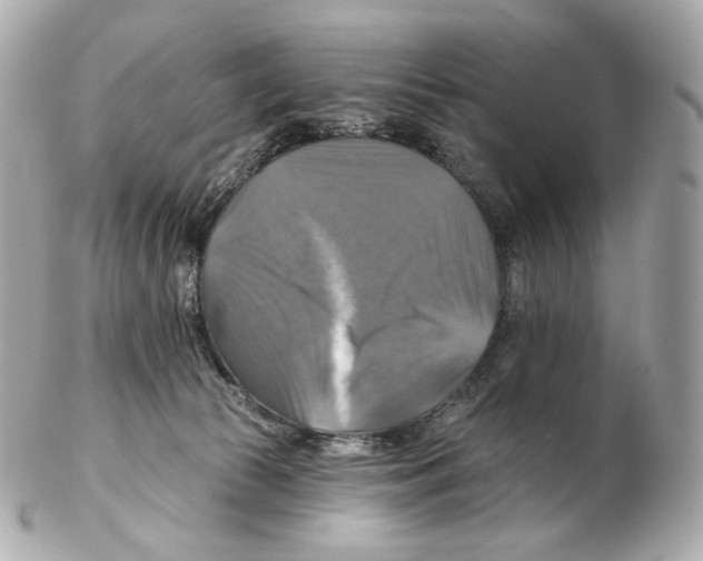 X0000102410177200808291516