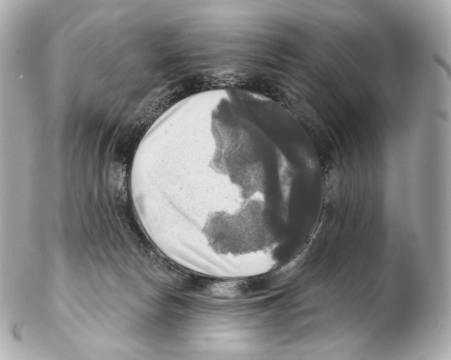 X0000102410178200808291516