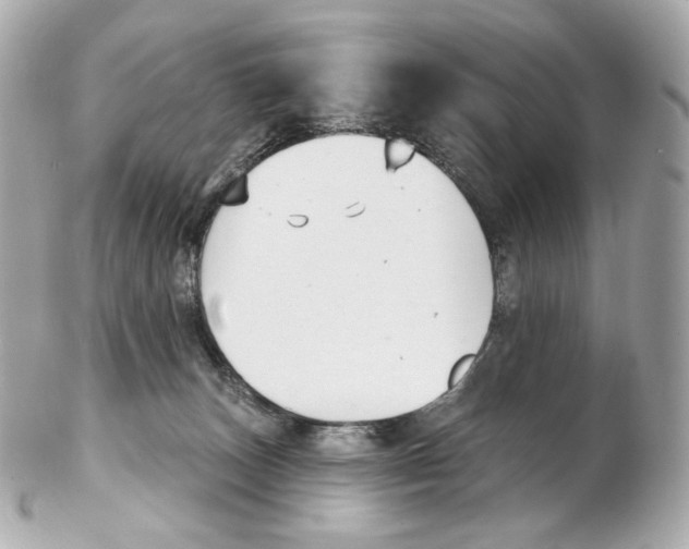 X0000102410179200808291516