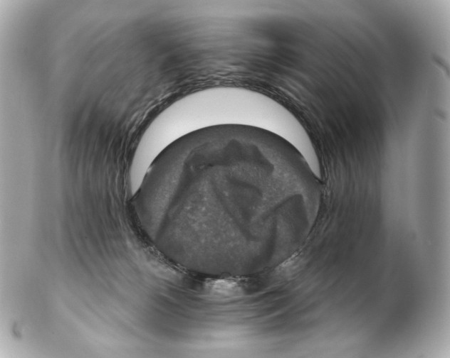 X0000102410180200808291516