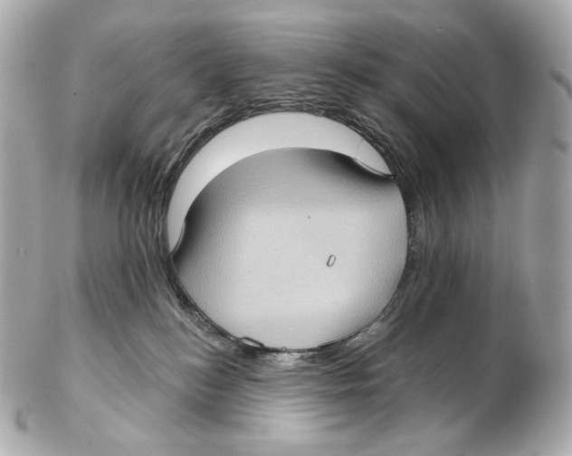 X0000102410184200808291516