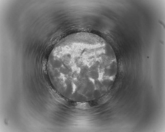 X0000102410185200808291516