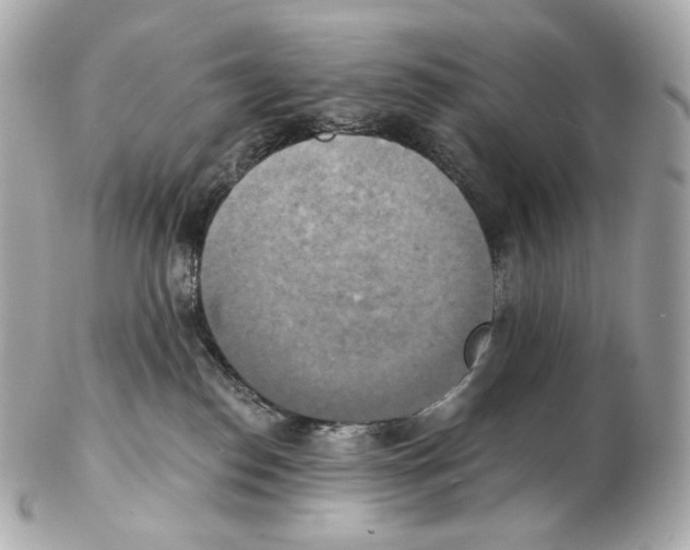 X0000102410186200808291516