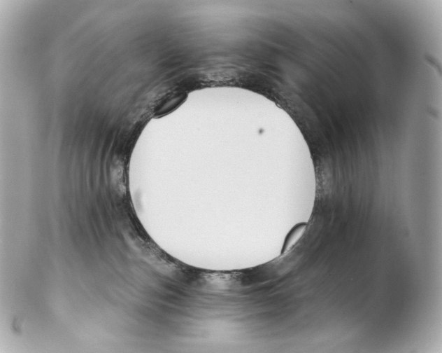 X0000102410187200808291516