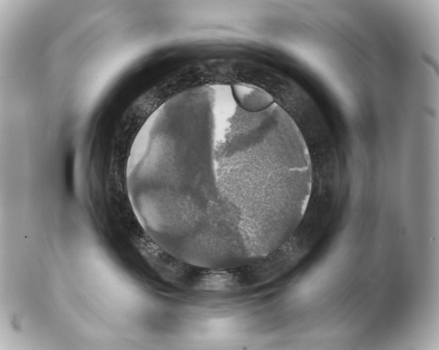 X0000102410189200808291516