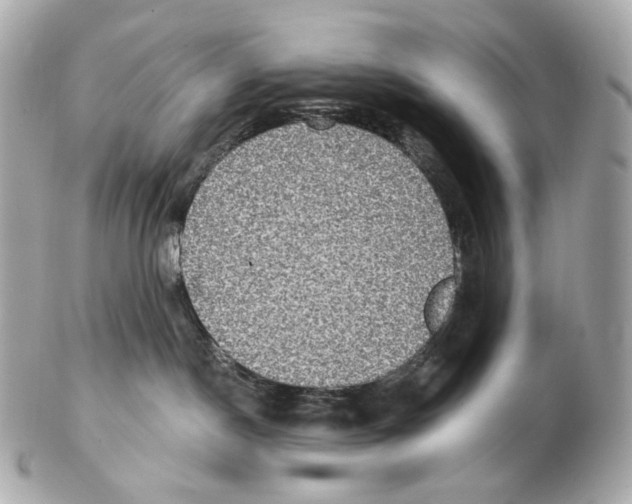 X0000102410190200808291516