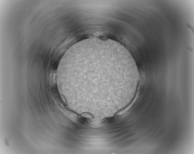 X0000102410191200808291516