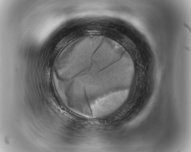 X0000102410194200808291515