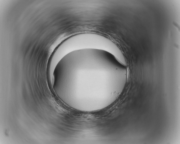 X0000102410195200808291515