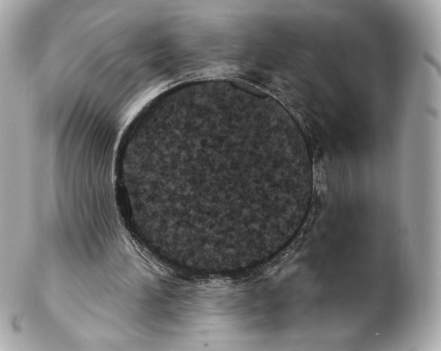 X0000102410196200808291515