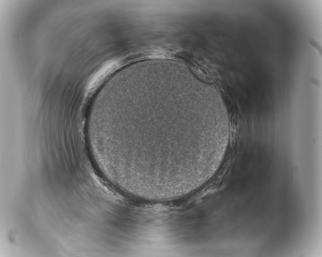 X0000102410197200808291515