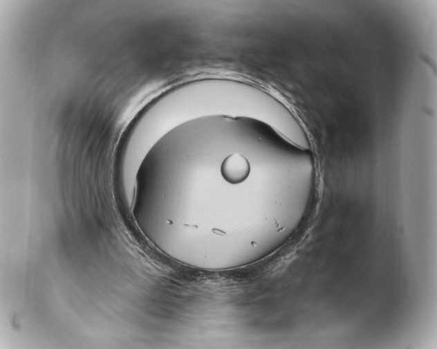 X0000102410199200808291515